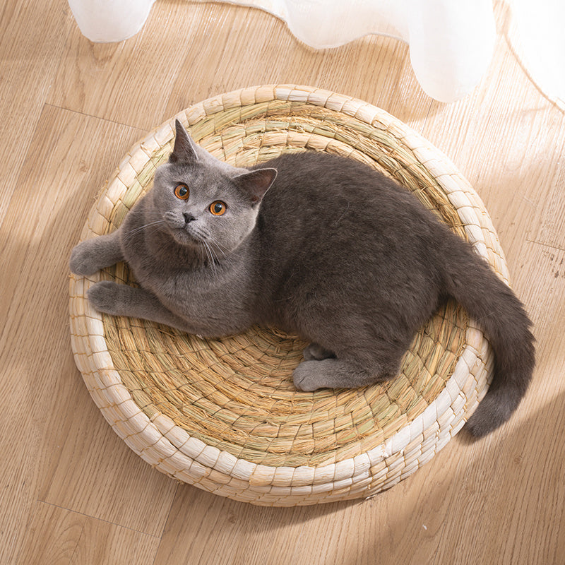 Teng Wok Felt House Cat Bed