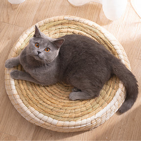 Teng Wok Felt House Cat Bed